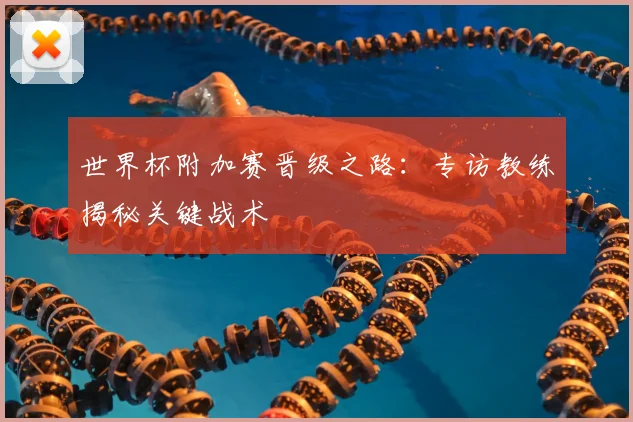 世界杯附加赛晋级之路：专访教练揭秘关键战术