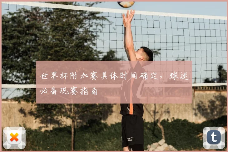 世界杯附加赛具体时间确定，球迷必备观赛指南