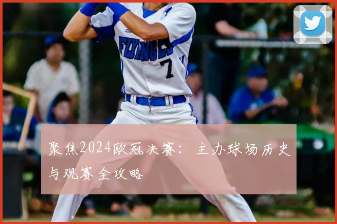 聚焦2024欧冠决赛：主办球场历史与观赛全攻略