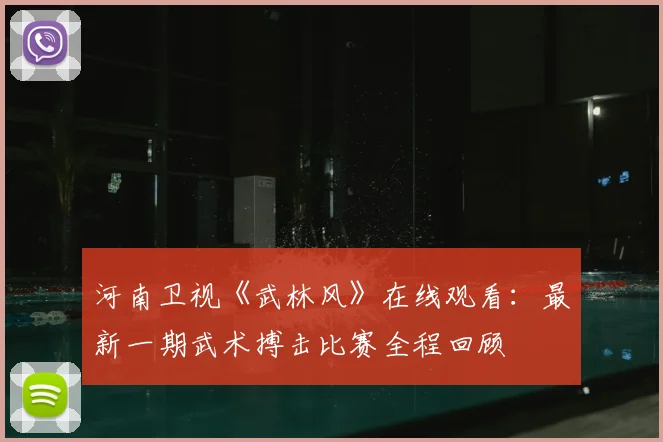 河南卫视《武林风》在线观看：最新一期武术搏击比赛全程回顾