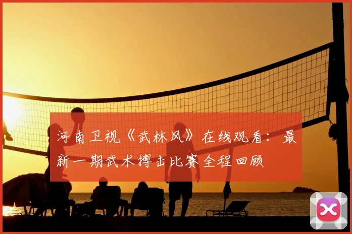 河南卫视《武林风》在线观看：最新一期武术搏击比赛全程回顾