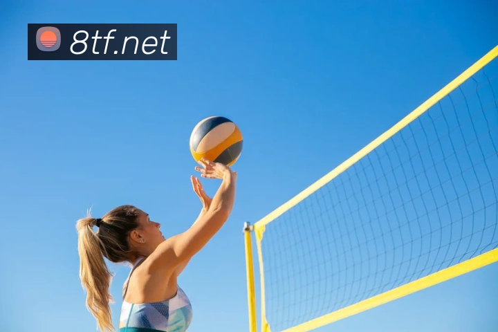 米兰在线登录入口网址服务体系